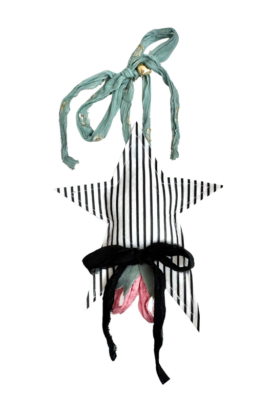 Black and White Striped Star